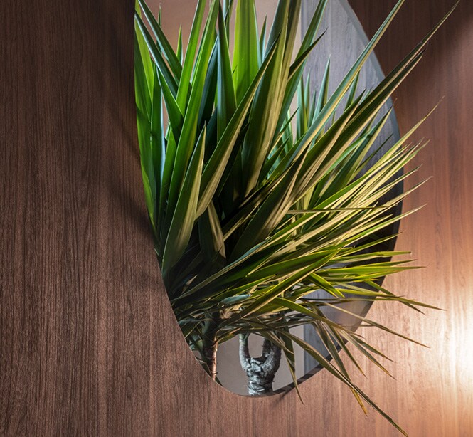 Interior de vestíbulo de hotel moderno con revestimientos decorativos en piedra y metálicos 3M y una ventana llena de plantas.