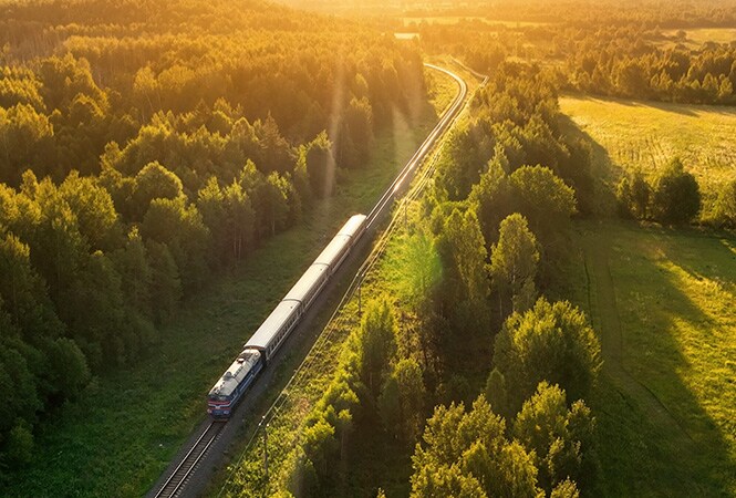 Imagen de un tren circulando por un bosque que representa una mejora en la refrigeración y el rendimiento en el sector ferroviario.
