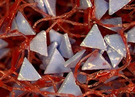 Fotografía en primer plano de la tecnología de ruedas no tejidas de 3M